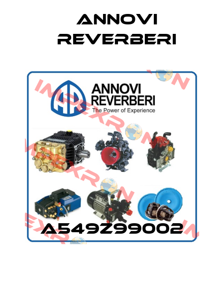 A549Z99002 Annovi Reverberi