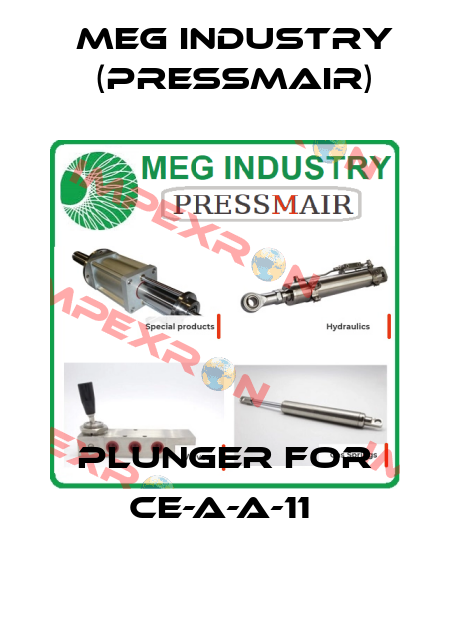 Plunger for CE-A-A-11  Meg Industry (Pressmair)