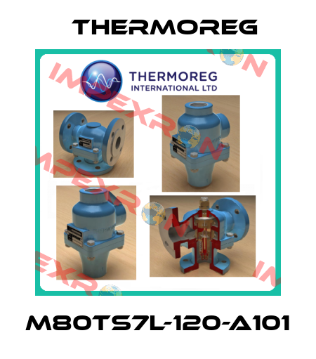 M80TS7L-120-A101 Thermoreg