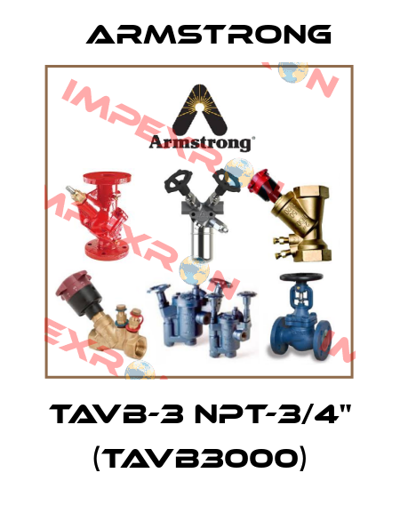 TAVB-3 NPT-3/4" (TAVB3000) Armstrong