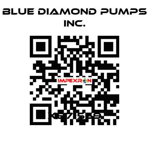 X87-559 Blue Diamond Pumps Inc.