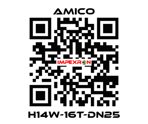 H14W-16T-DN25 AMICO