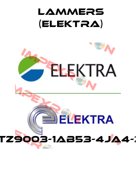 1TZ9003-1AB53-4JA4-Z Lammers (Elektra)