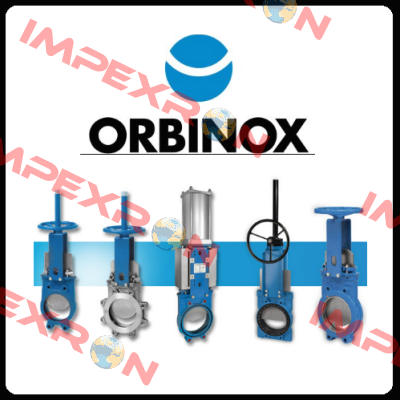 EB SEMI-LUG DN 300 PN 10 Orbinox