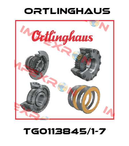 TG0113845/1-7 Ortlinghaus