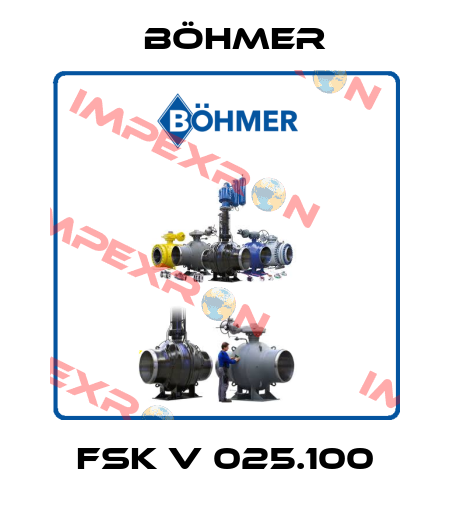 FSK V 025.100 Böhmer