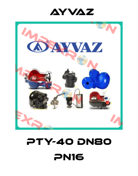 PTY-40 DN80 PN16 Ayvaz