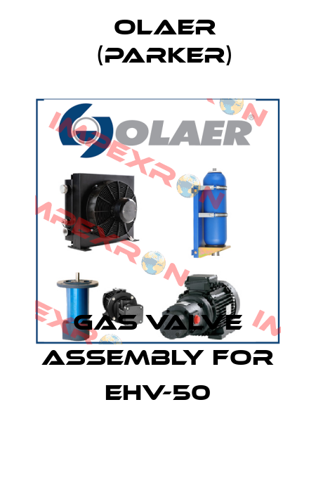 Gas valve assembly for EHV-50 Olaer (Parker)