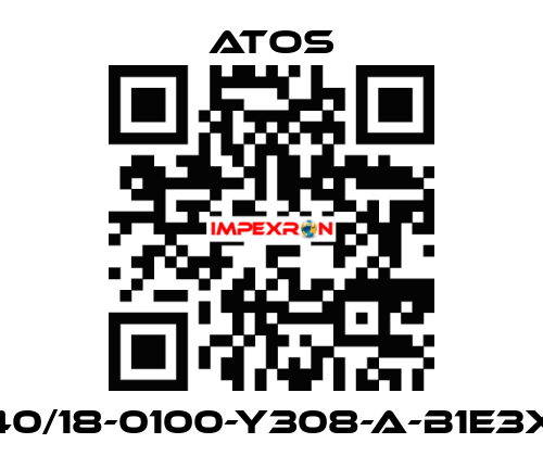 CK-40/18-0100-Y308-A-B1E3X1Z3 Atos