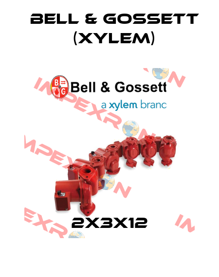 2X3X12 Bell & Gossett (Xylem)
