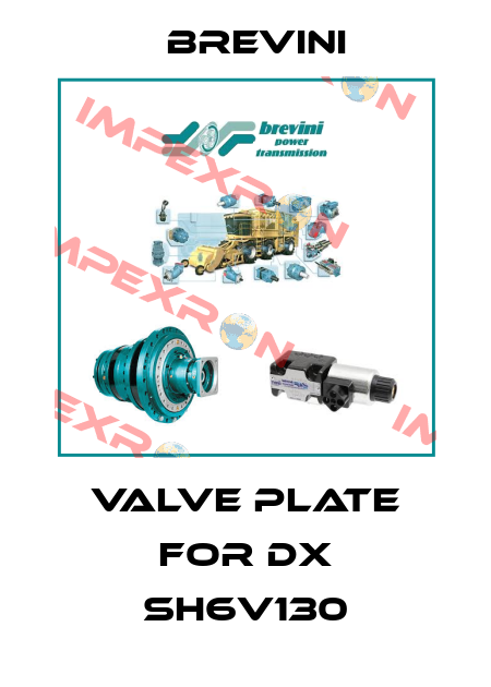 VALVE PLATE for DX SH6V130 Brevini