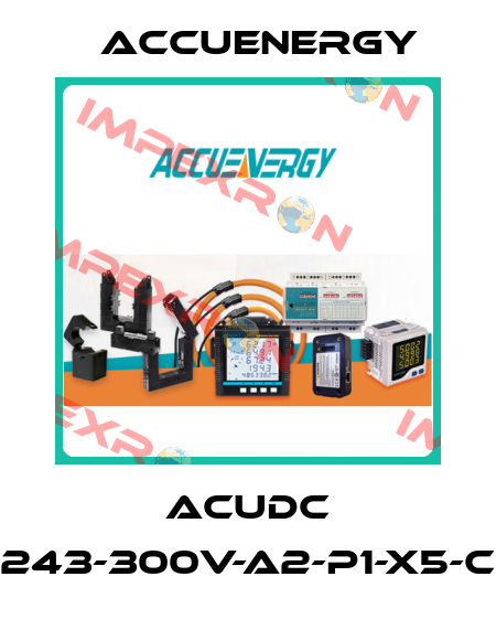 AcuDC 243-300V-A2-P1-X5-C Accuenergy