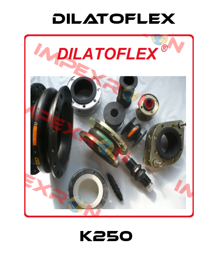  K250  DILATOFLEX