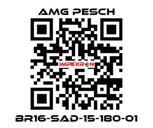 BR16-SAD-15-180-01 AMG Pesch