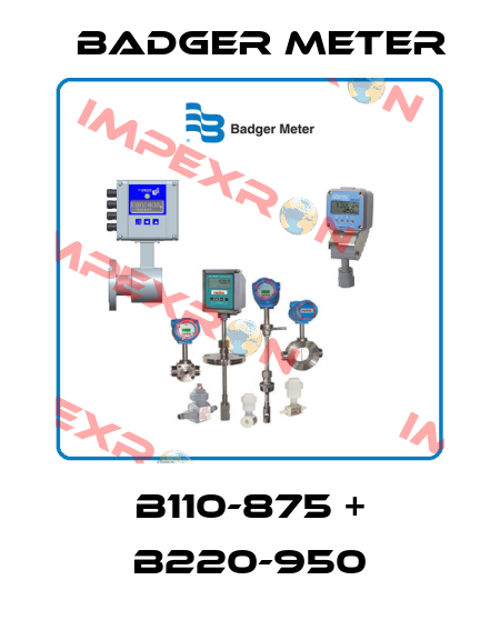 B110-875 + B220-950 Badger Meter
