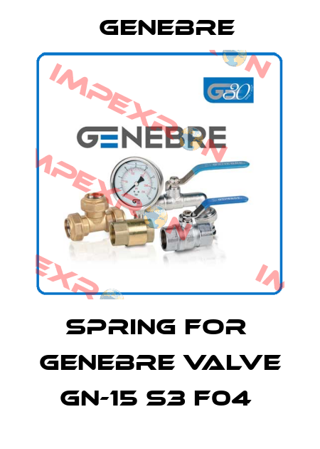 Spring for  Genebre valve  GN-15 S3 F04  Genebre