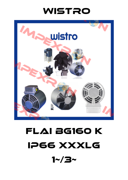 FLAI Bg160 K IP66 xxxlg 1~/3~ Wistro