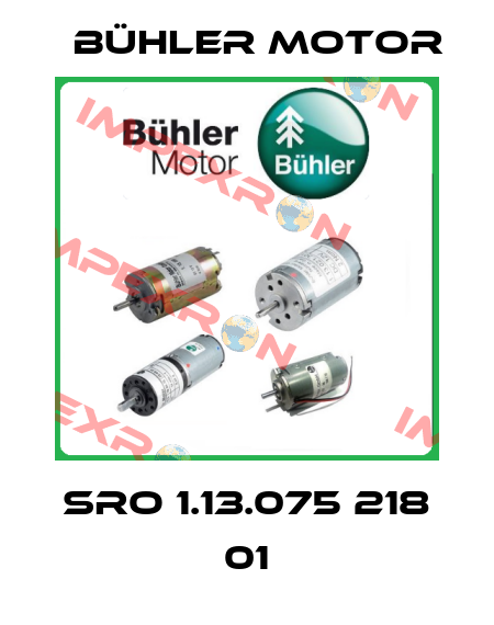 SRO 1.13.075 218 01 Bühler Motor