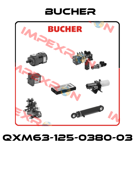 QXM63-125-0380-03  Bucher