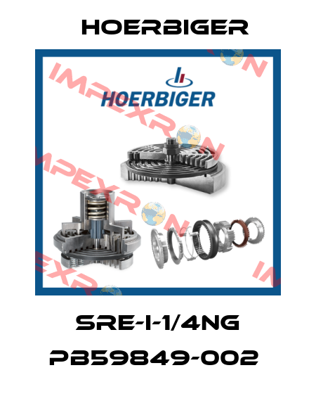 SRE-I-1/4NG PB59849-002  Hoerbiger