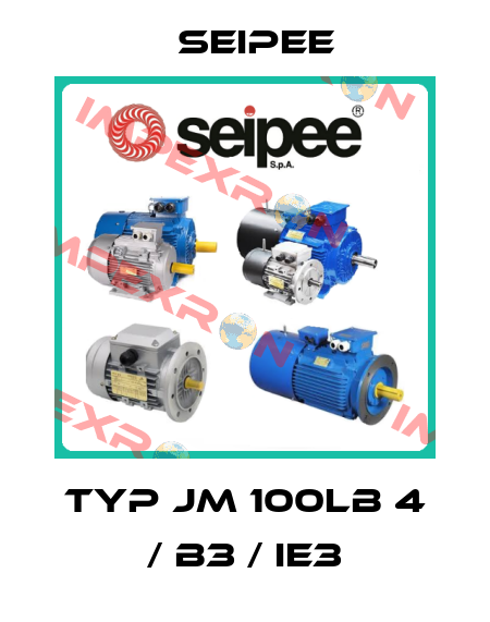 Typ JM 100LB 4 / B3 / IE3 SEIPEE