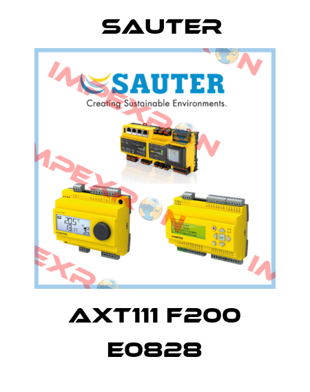 axt111 f200 e0828 Sauter
