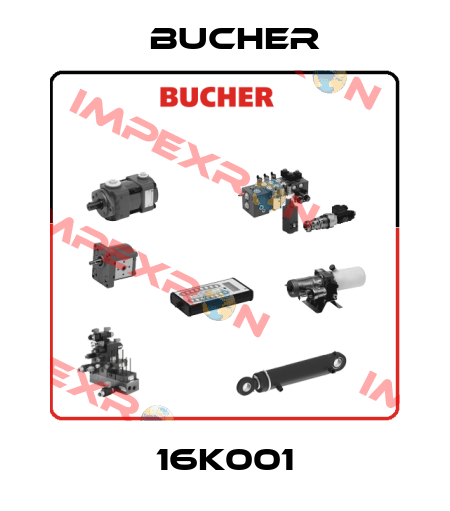16K001 Bucher