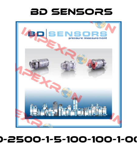 110-2500-1-5-100-100-1-000 Bd Sensors
