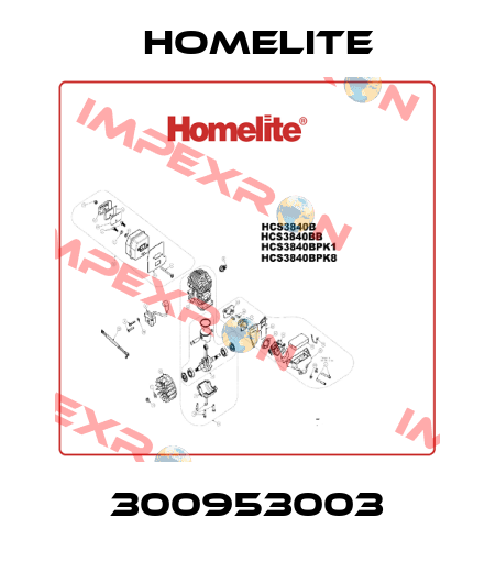 300953003 Homelite