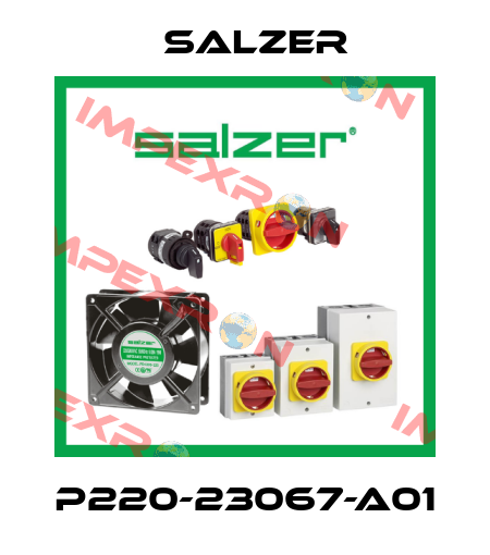 P220-23067-A01 Salzer