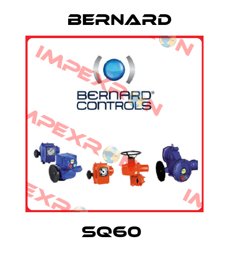 SQ60  Bernard