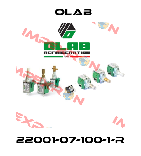22001-07-100-1-R Olab