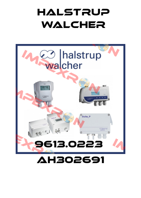 9613.0223  AH302691 Halstrup Walcher