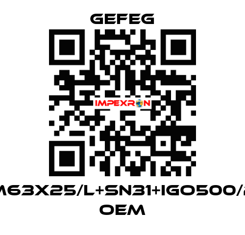 M63x25/l+sn31+igo500/2 OEM Gefeg