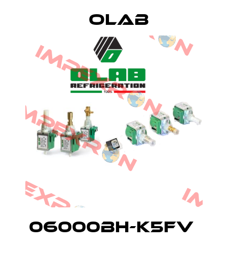 06000BH-K5FV  Olab