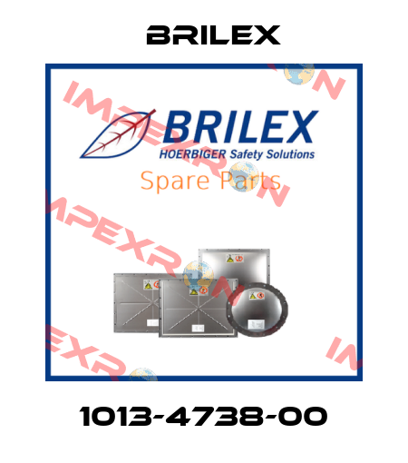 1013-4738-00 Brilex