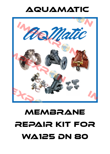 membrane repair kit for WA125 DN 80 AquaMatic