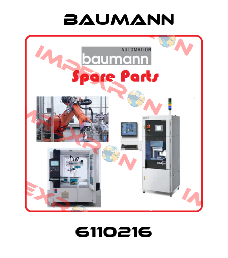 6110216 Baumann