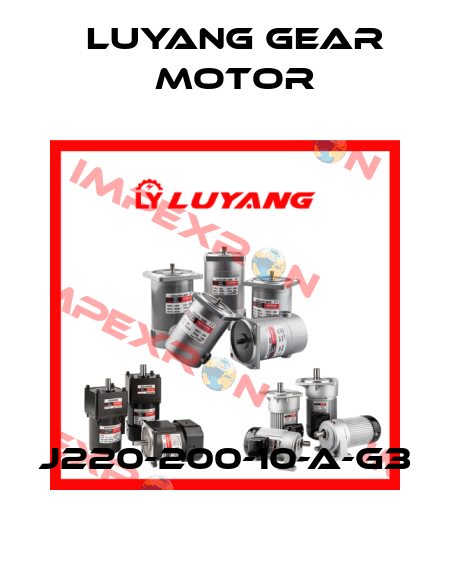 J220-200-10-A-G3 Luyang Gear Motor