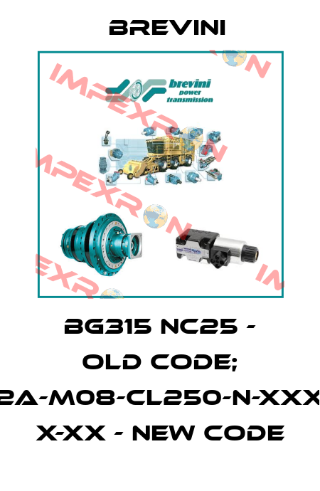 BG315 NC25 - old code; BG-S-315-2A-M08-CL250-N-XXXX-000-XX X-XX - new code Brevini