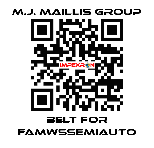 belt for FAMWSSEMIAUTO M.J. MAILLIS GROUP