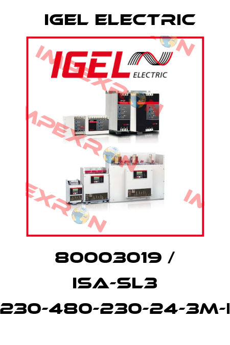 80003019 / ISA-SL3 230-480-230-24-3M-I IGEL Electric