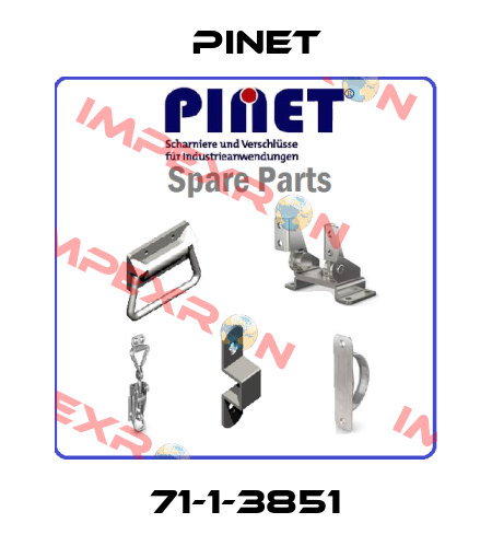 71-1-3851 Pinet