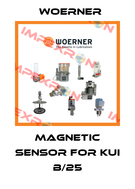 magnetic sensor for KUI B/25 Woerner