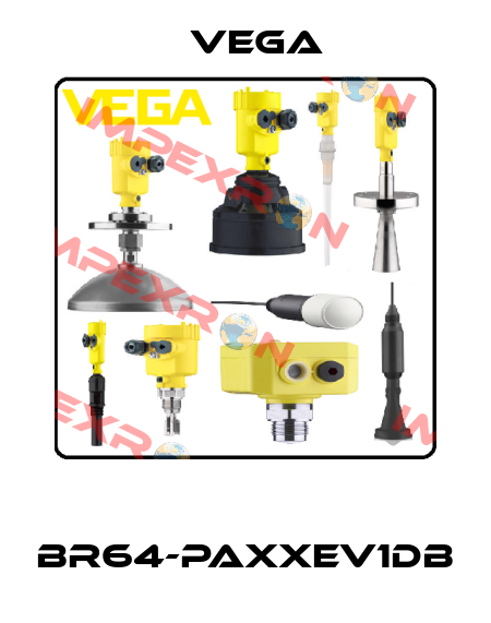  BR64-PAXXEV1DB Vega
