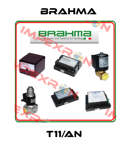 T11/AN  Brahma