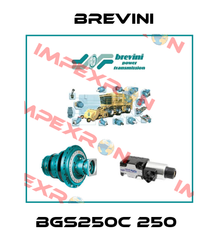  BGS250C 250  Brevini