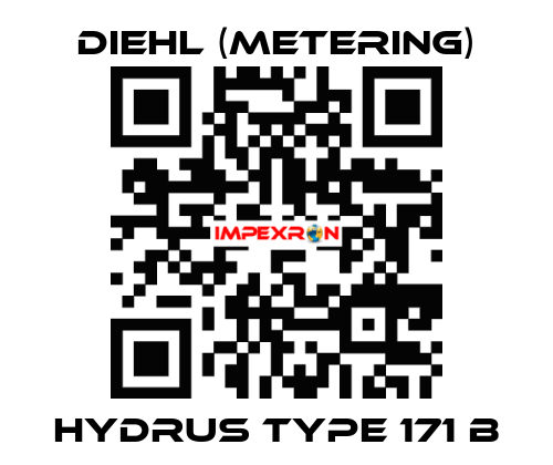 Hydrus Type 171 B Diehl (Metering)