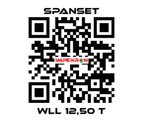 WLL 12,50 t SpanSet