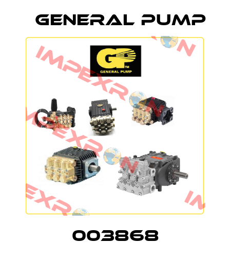 003868 General Pump